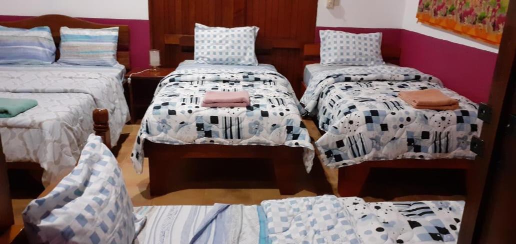 Las Cabinas Del Sueno 尼科亚 外观 照片